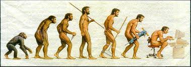 SEO Search has evolved